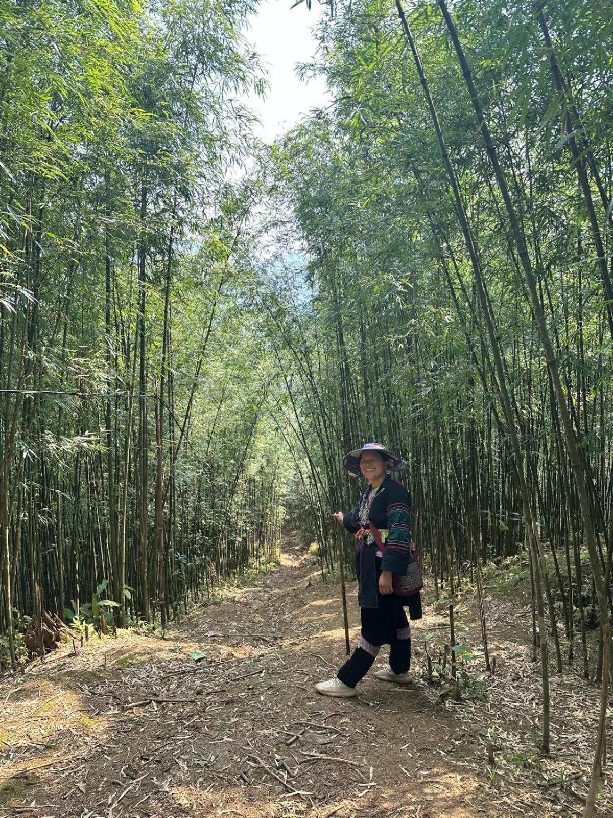 Sue Pa Family Trekking Homestay Sapa Eksteriør billede